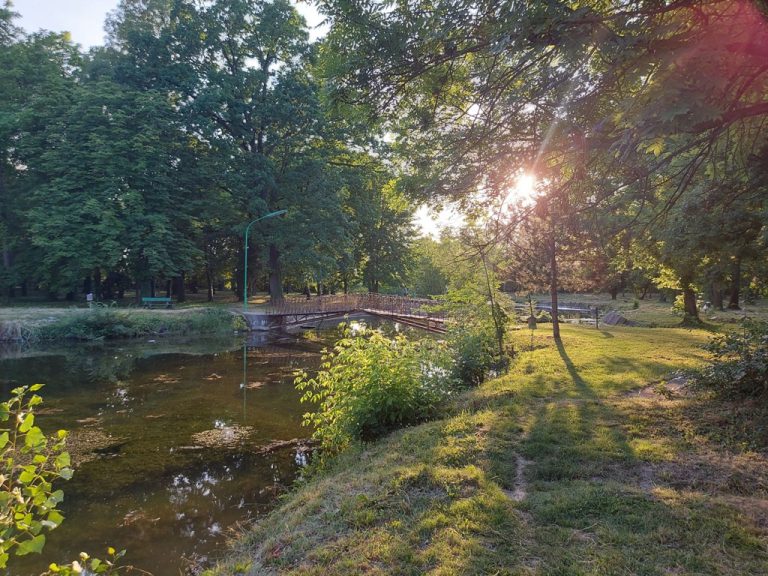 stariparkvlajkovac 768x576